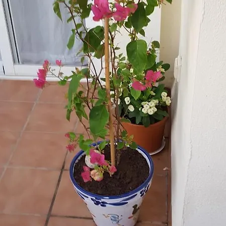 3 Bed To Rent In Mojacar, Spain. Apartment *